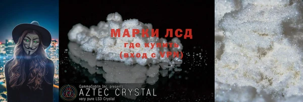 сатива Горняк