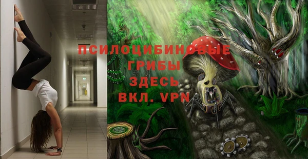 mix Алексеевка